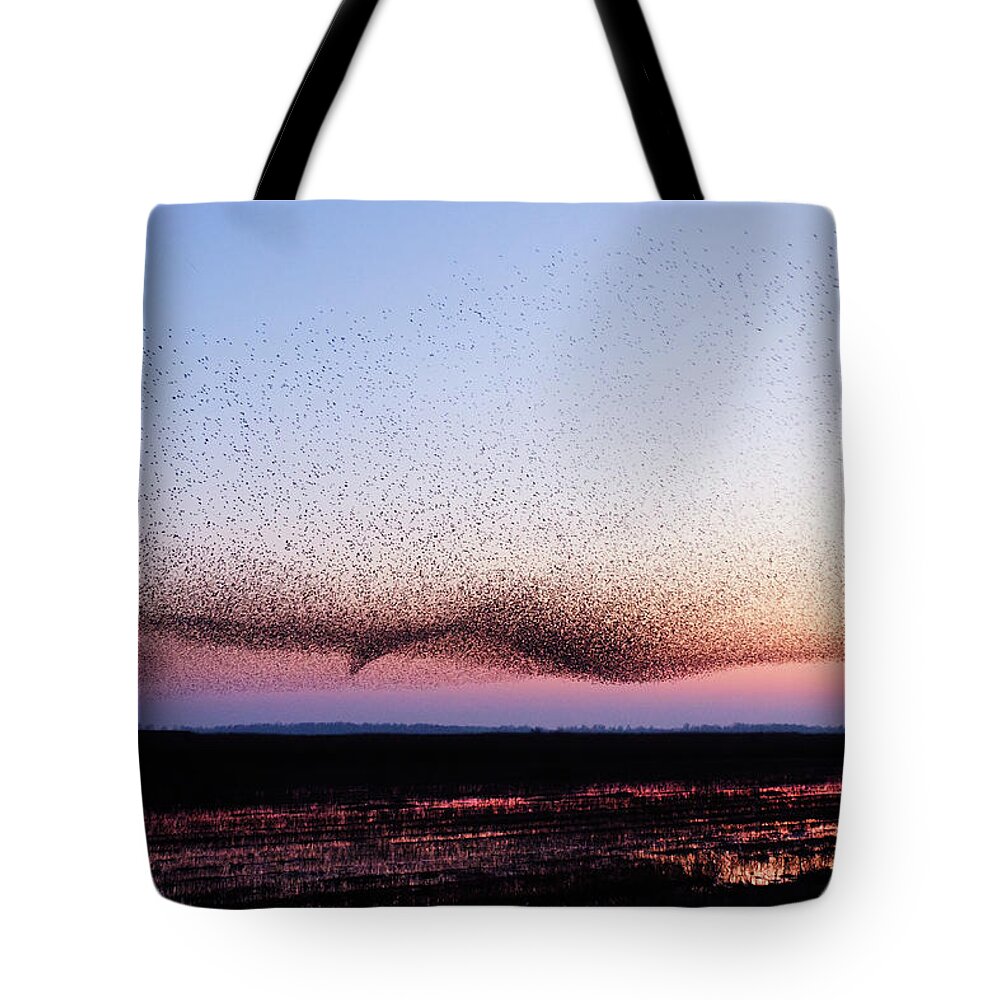 Starling Tote Bag featuring the photograph Chaos in Motion - Bird of Many Birds by Roeselien Raimond