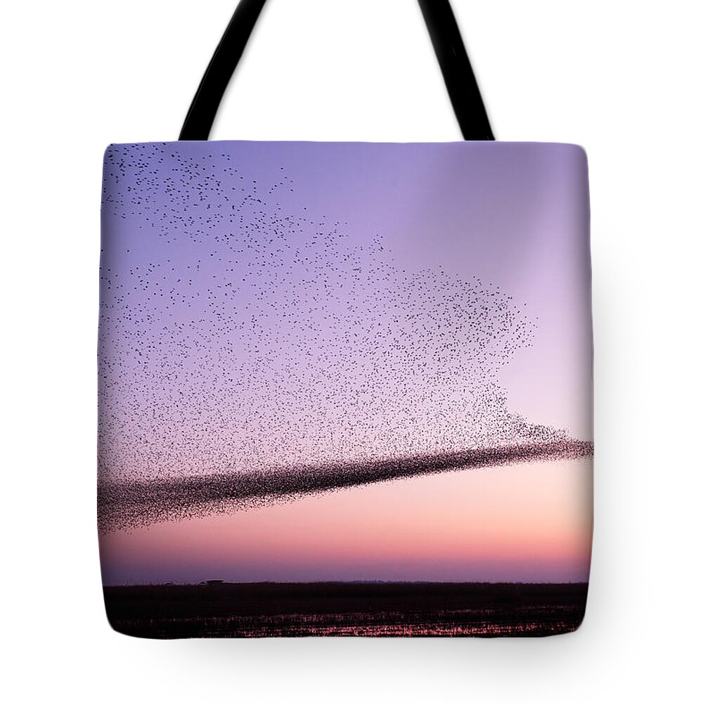 Starlings Tote Bags