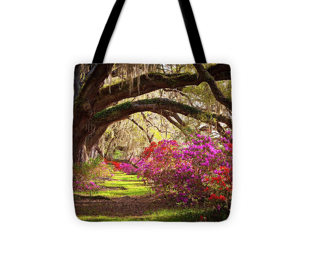 South Tote Bag featuring the photograph Charleston SC Magnolia Plantation Gardens - Memory Lane by Dave Allen