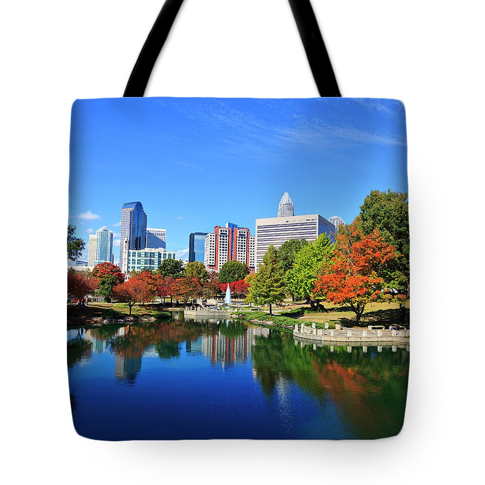 Charlotte Tote Bag featuring the photograph Charlotte in the Fall by Jill Lang