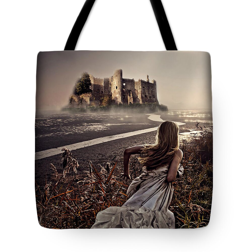Chasing The Dreams Tote Bag featuring the photograph Chasing the Dreams by Mo T