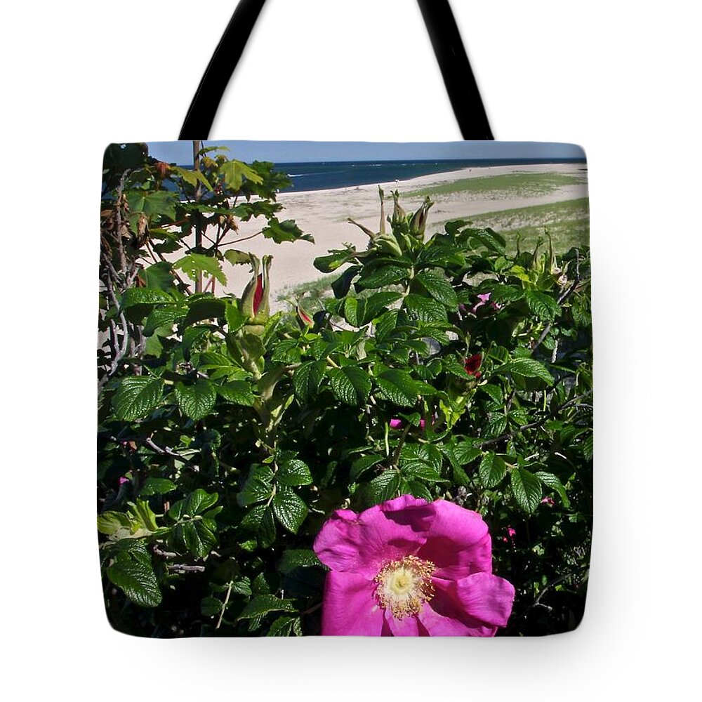 Flower Tote Bag featuring the photograph Chatham Flower by Jim Gillen