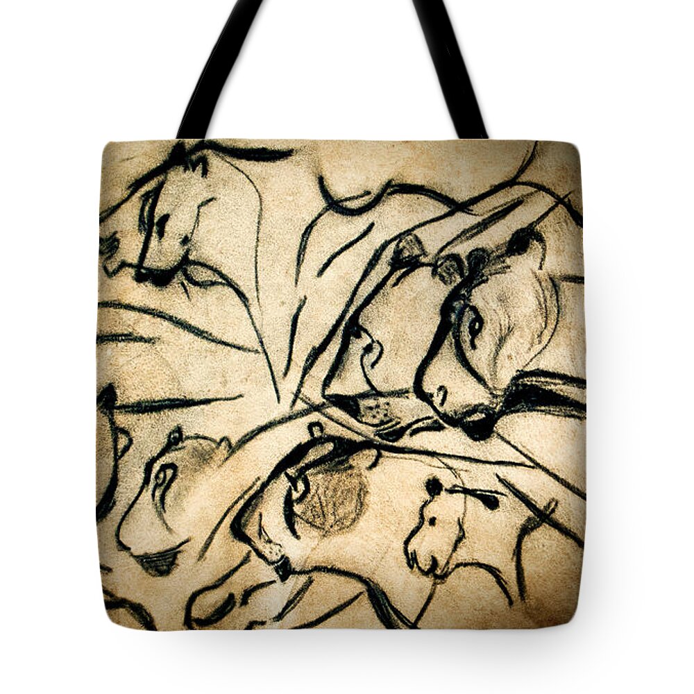 Chauvet Cave Lions Tote Bag featuring the photograph Chauvet Cave Lions by Weston Westmoreland