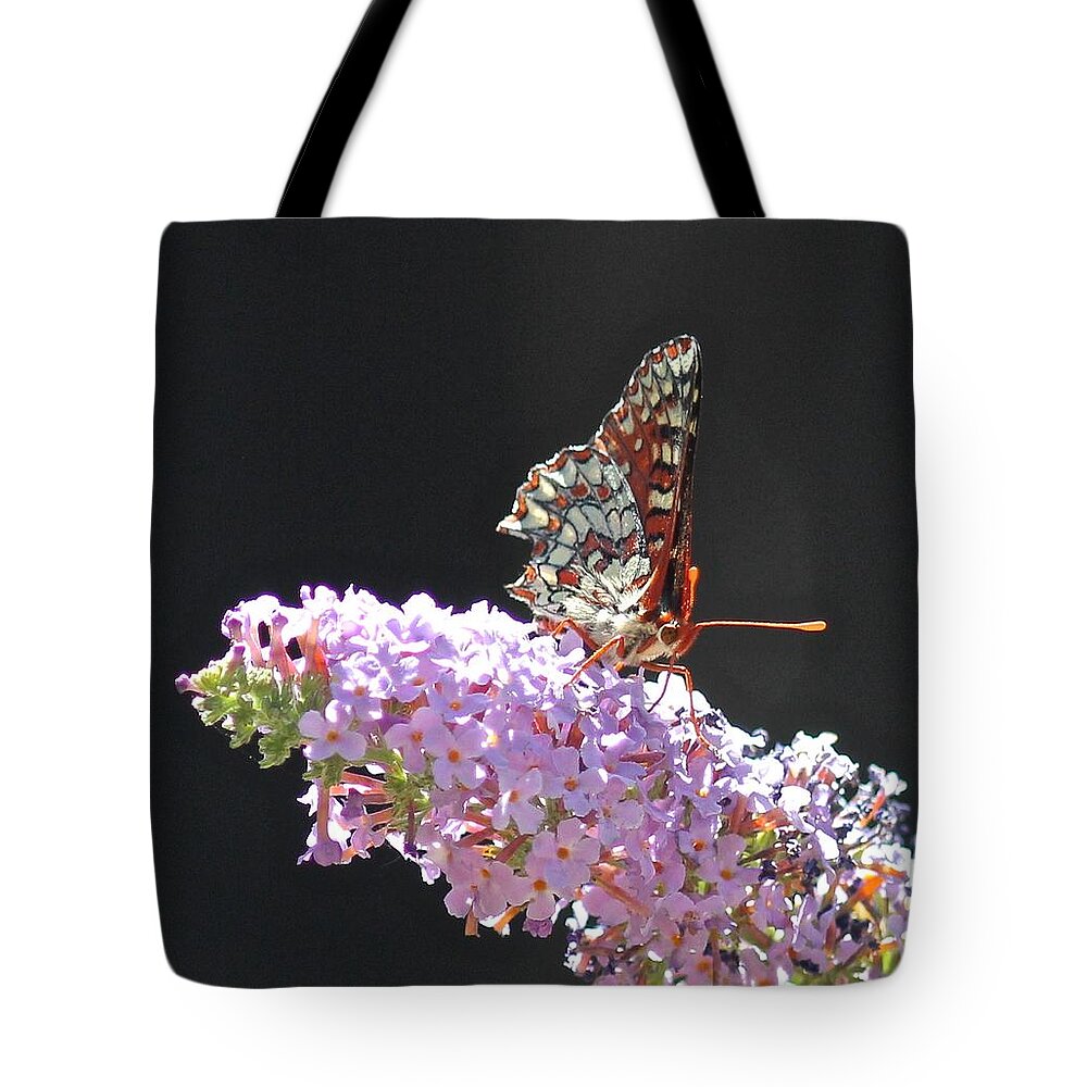 Checkerspot Tote Bag featuring the photograph Checkerspot Butterfly by Liz Vernand