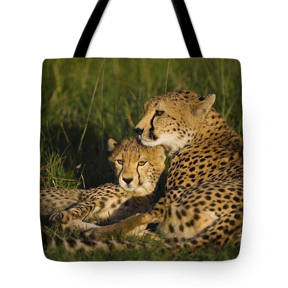 00761675 Tote Bag featuring the photograph Cheetah Mother and Cub by Suzi Eszterhas