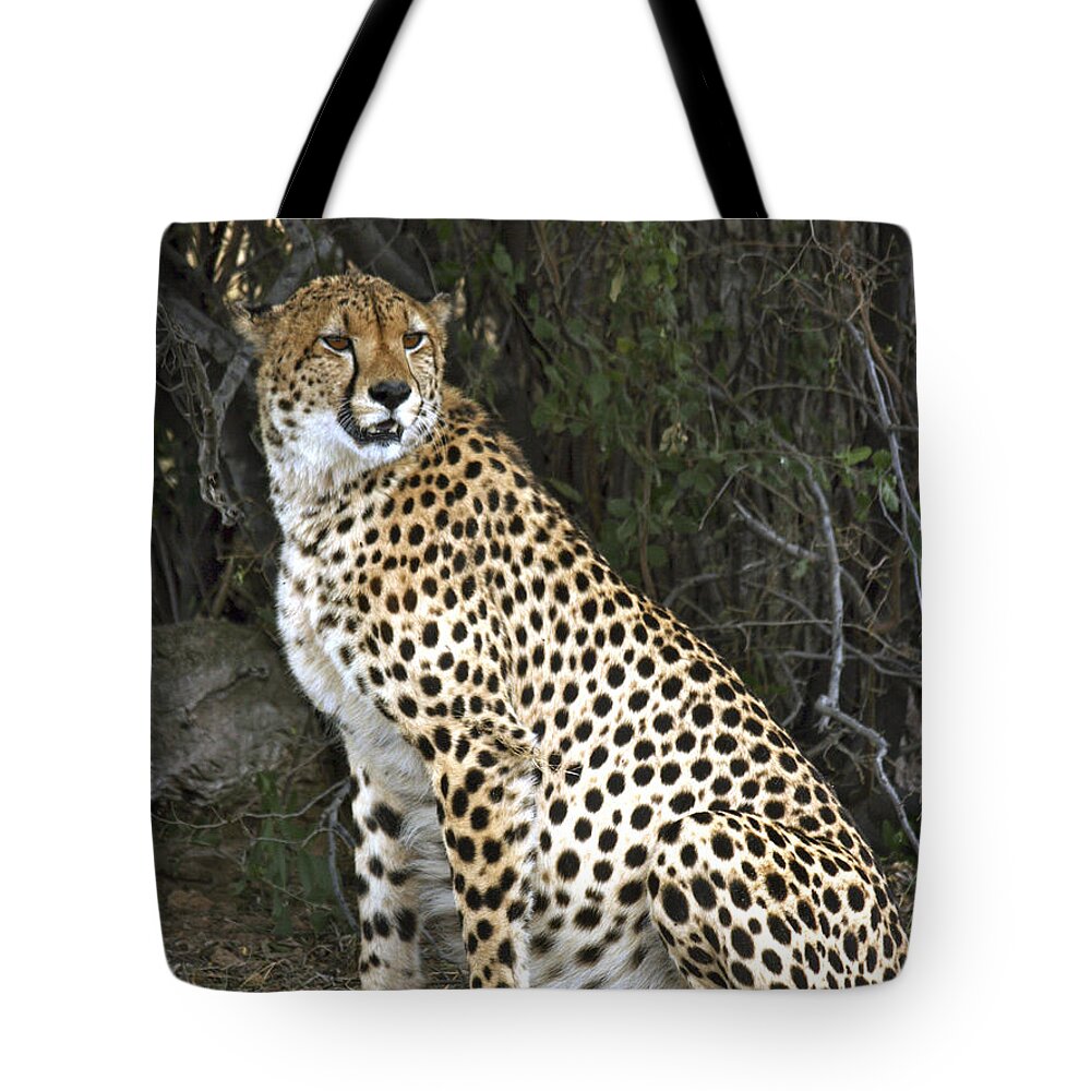 Karen Zuk Rosenblatt Art And Photography Tote Bag featuring the photograph Cheetah On Guard by Karen Zuk Rosenblatt