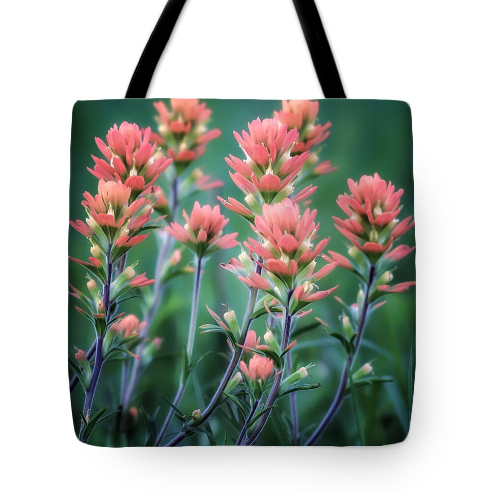 Indian Tote Bag featuring the photograph Cherokee Prairie Paintbrush by James Barber