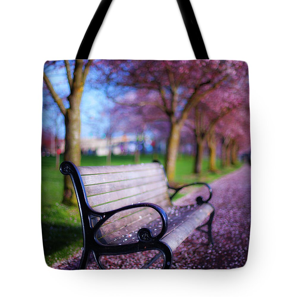 Spring Tote Bag featuring the photograph Cherry Blossom Bench by Darren White