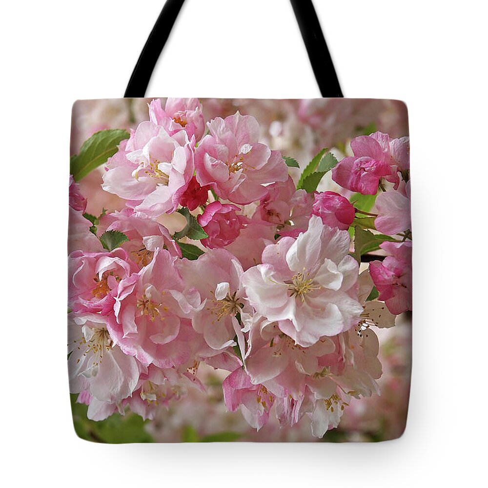 Cherry Blossom Tote Bag featuring the photograph Cherry Blossom Closeup by Gill Billington