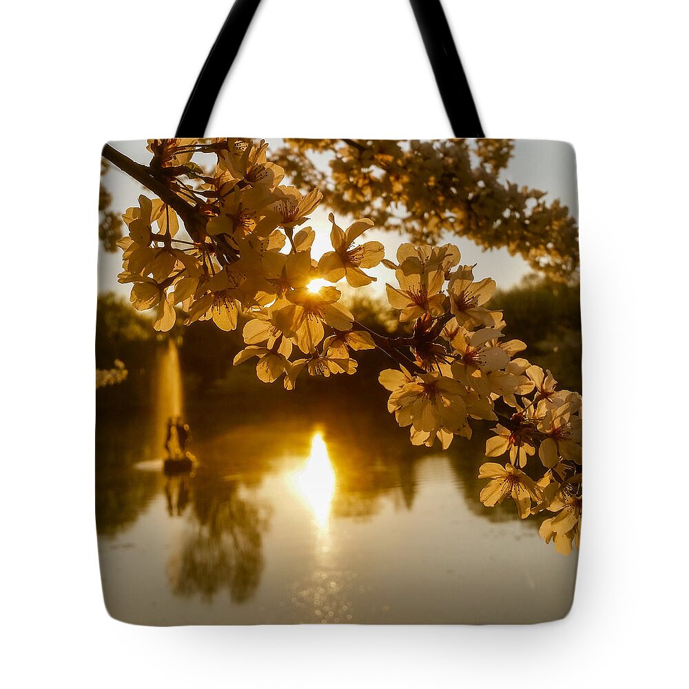 Forest Lawn Cemetery Tote Bag featuring the photograph Cherry Blossom Detail No 1 by Chris Bordeleau