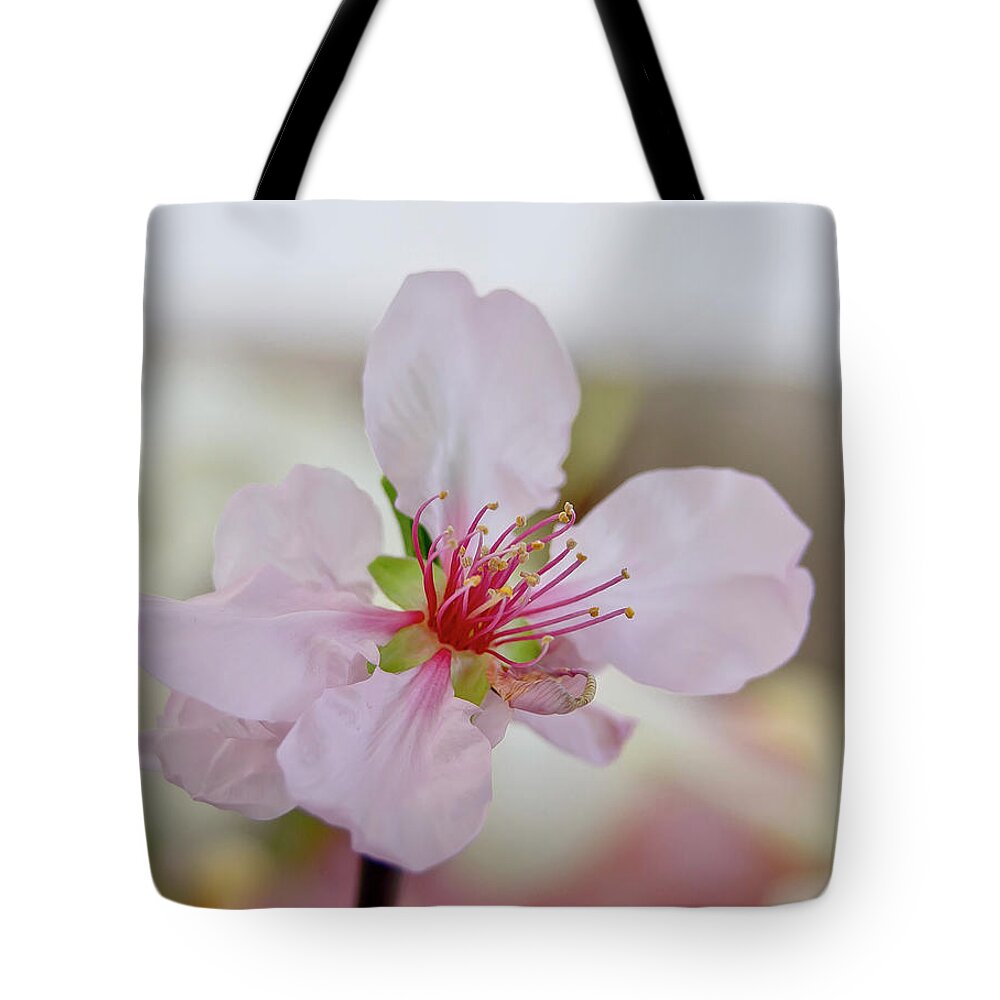 Cherry Tote Bag featuring the photograph Cherry Blossom I by Elena Perelman