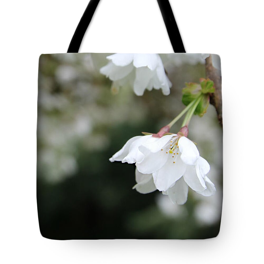 Cascade Tote Bag featuring the photograph Cherry Blossom by KATIE Vigil