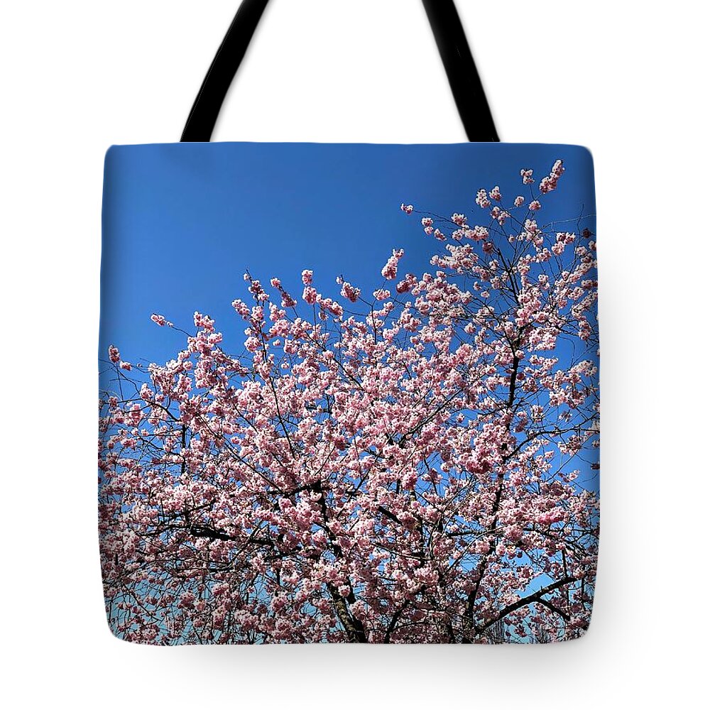 Spring Tote Bag featuring the photograph Cherry Blossom pink and blue spring colors by Matthias Hauser