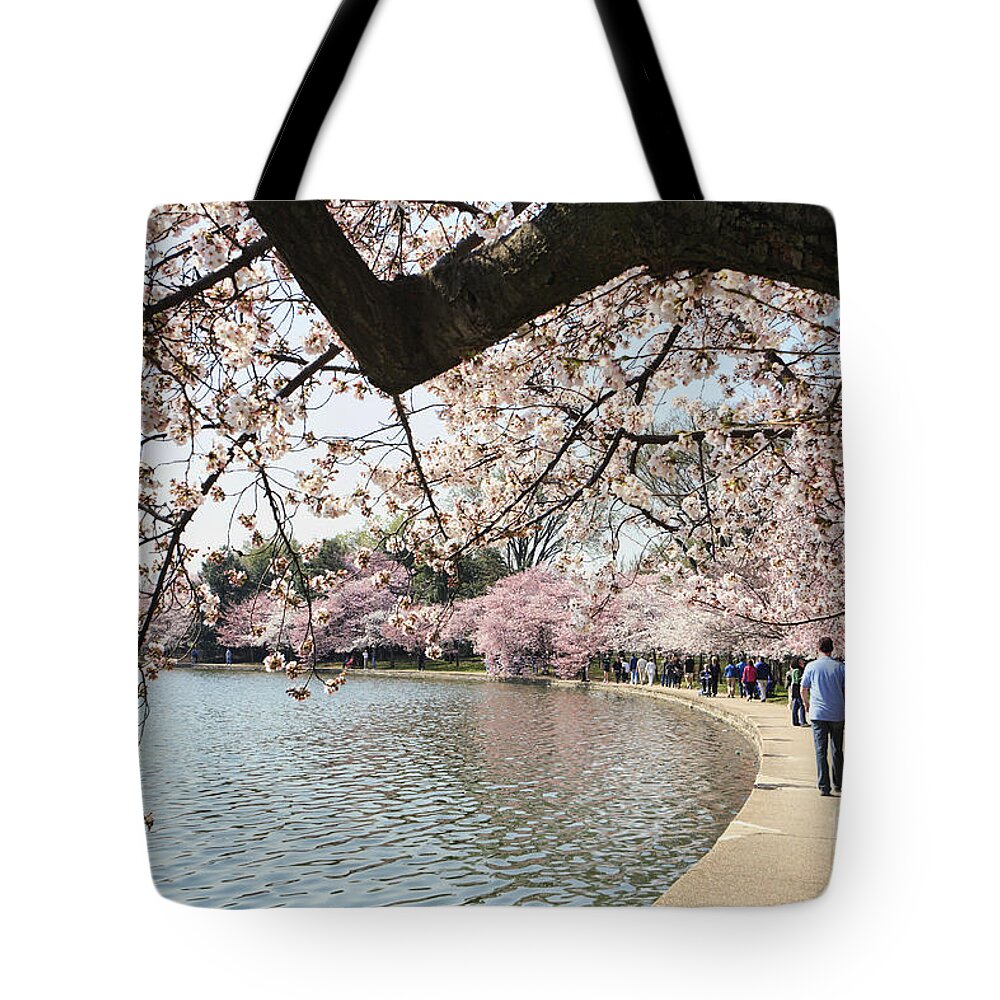 Cherry Blossoms Tote Bag featuring the photograph Cherry Blossom Stroll Around the Tidal Basin by William Kuta