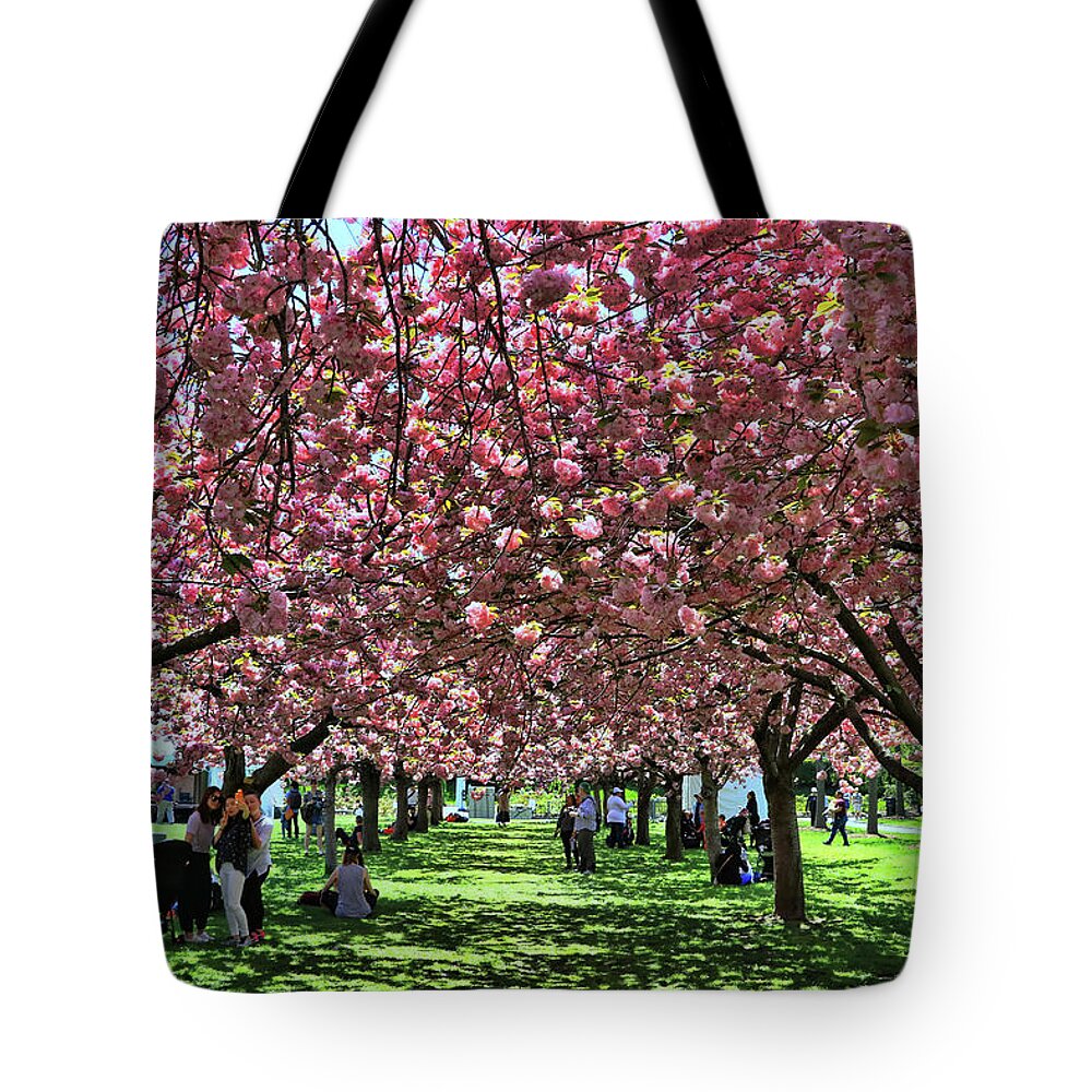 Cherry Tote Bag featuring the photograph Cherry Blossom Trees of B B G # 7 by Allen Beatty