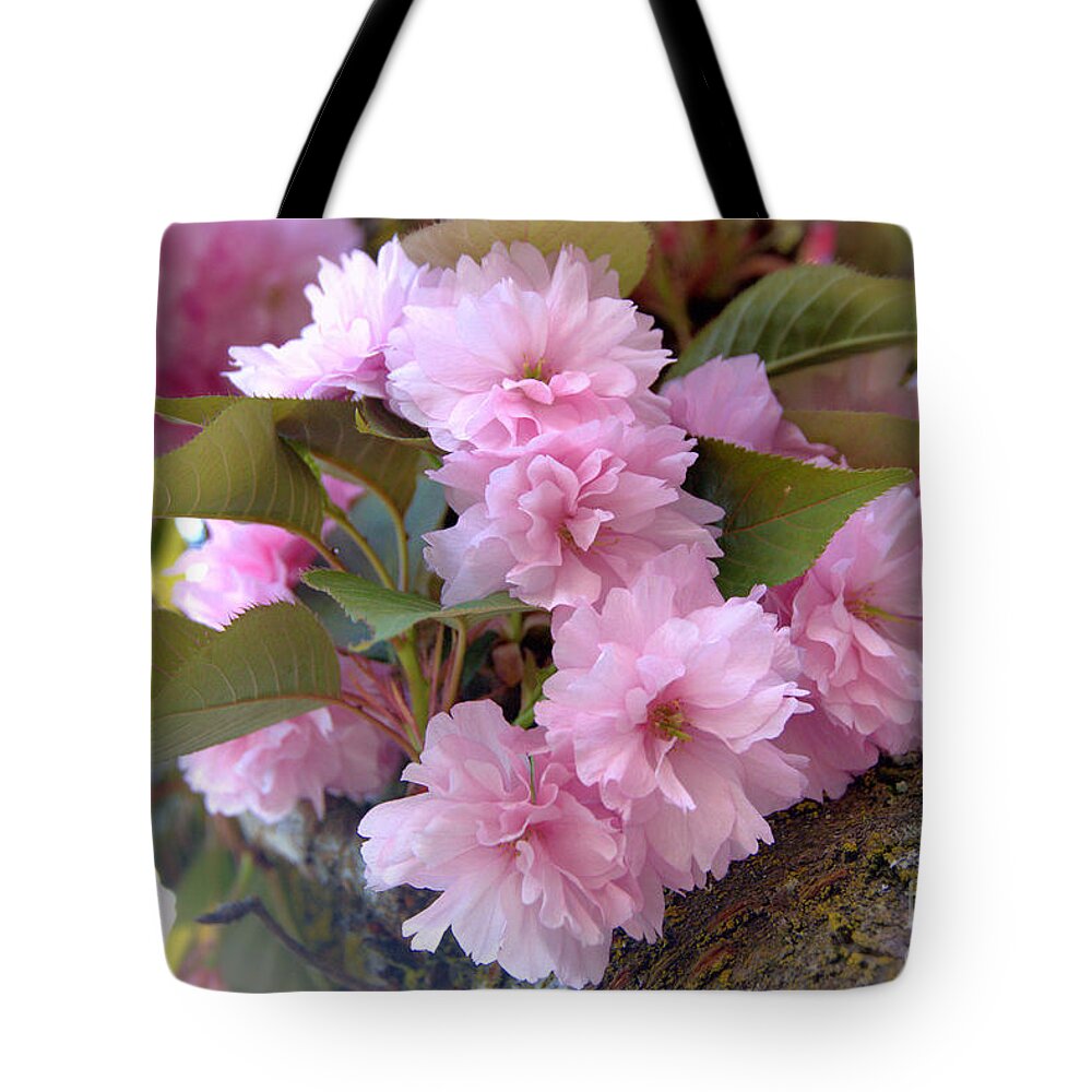 Spring Cherry Blossoms Tote Bag featuring the photograph Cherry Blossoms Nbr2 by Scott Cameron