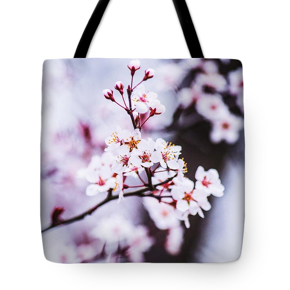 Cherry Blossom Tote Bag featuring the photograph Cherry Blossoms by Parker Cunningham