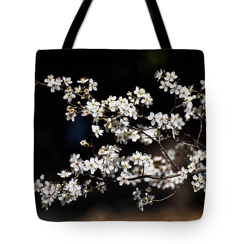  Tote Bag featuring the photograph Cherry Blossoms by Wendy Carrington
