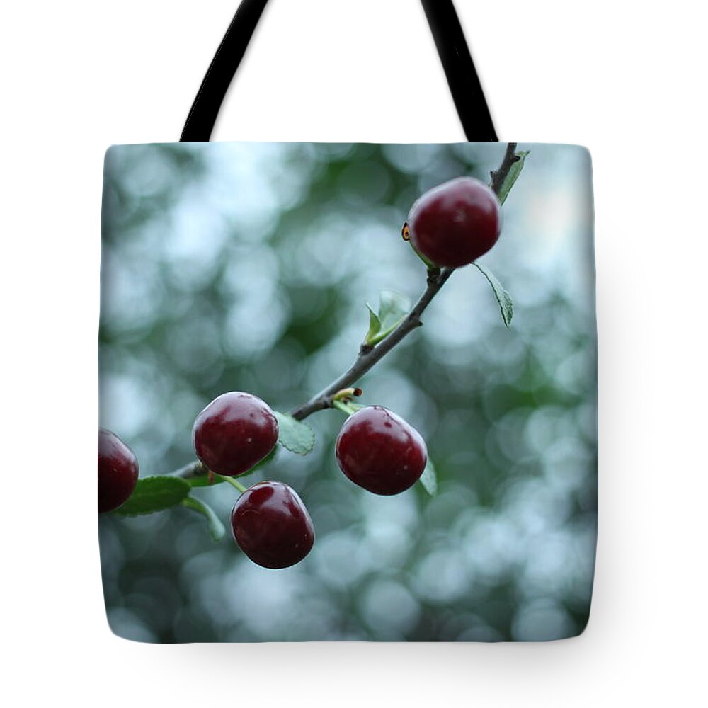 Cherries Tote Bag featuring the photograph Cherry Constellation by Igor Zharkov