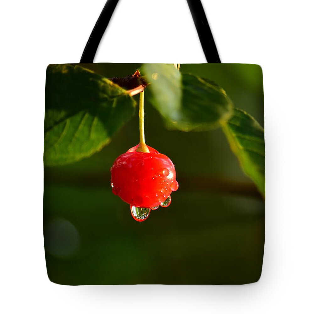 Fruit Tote Bag featuring the photograph Cherry Rain by Patrick Latvis