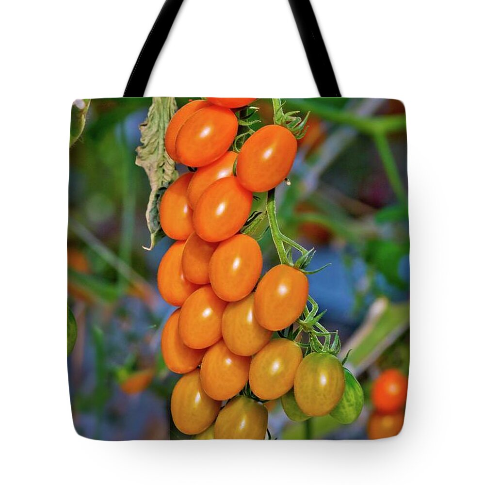 Tomatoes Tote Bag featuring the photograph Cherry Tomatoes by Linda Unger