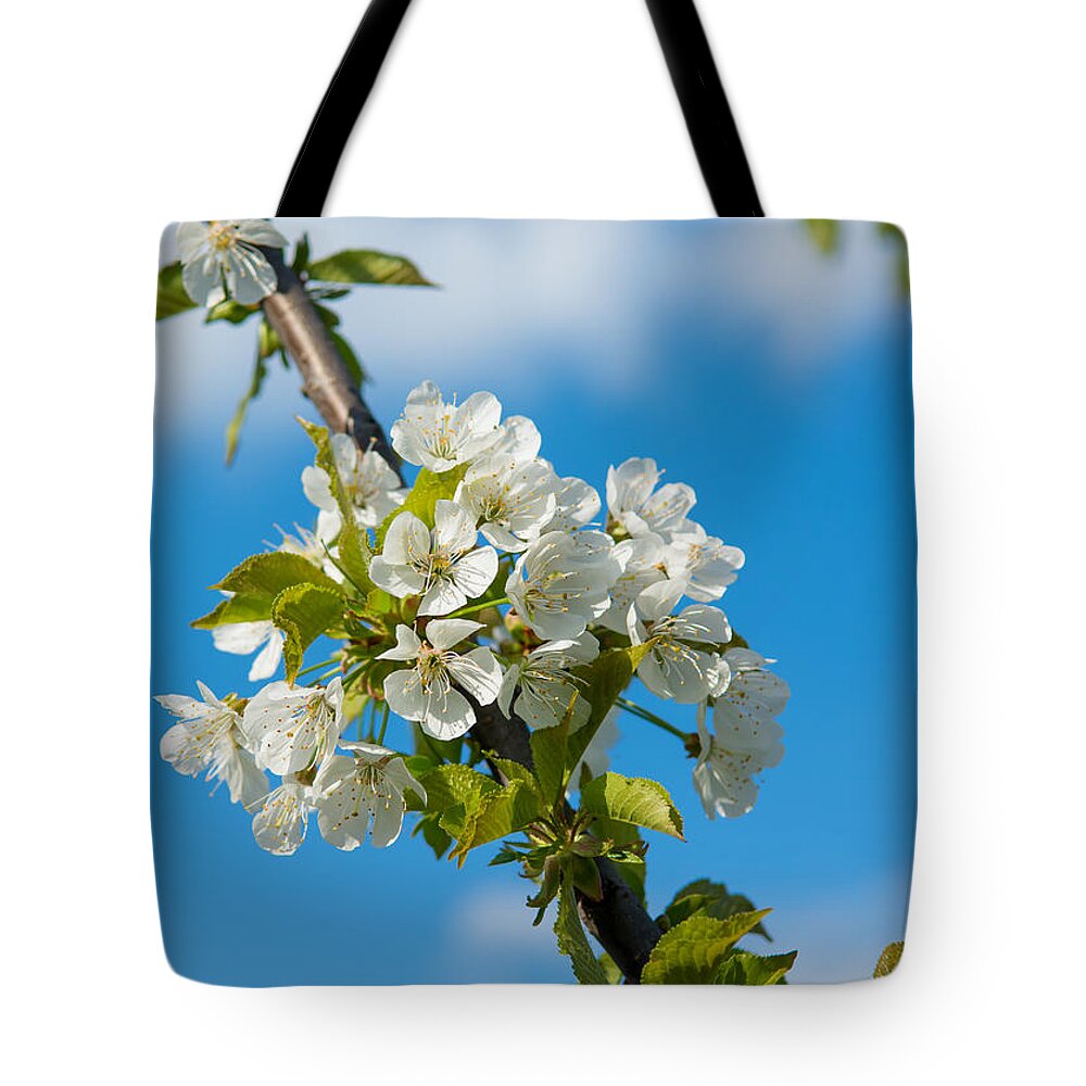 Cherry Tote Bag featuring the photograph Cherry Tree Blossoms by Andreas Berthold