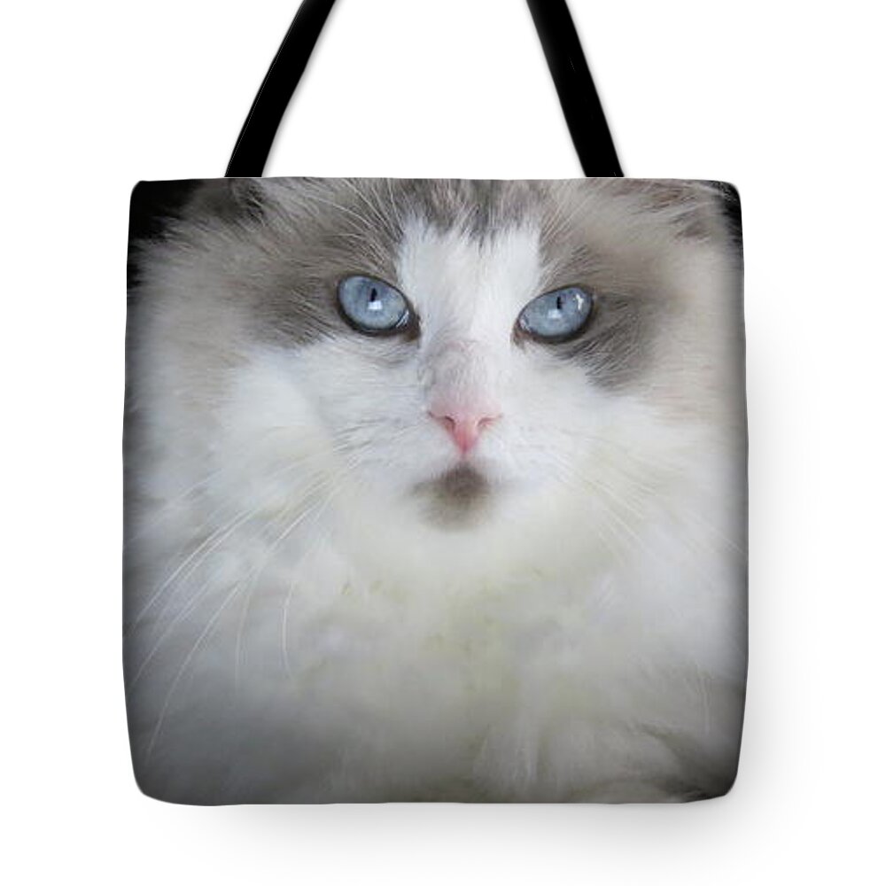 Cat Tote Bag featuring the digital art Chewie by Kathleen Illes