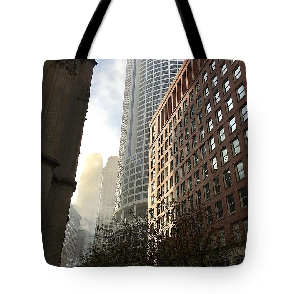Chicago Art Tote Bag featuring the photograph Chicago Light 2 by Carrie Godwin