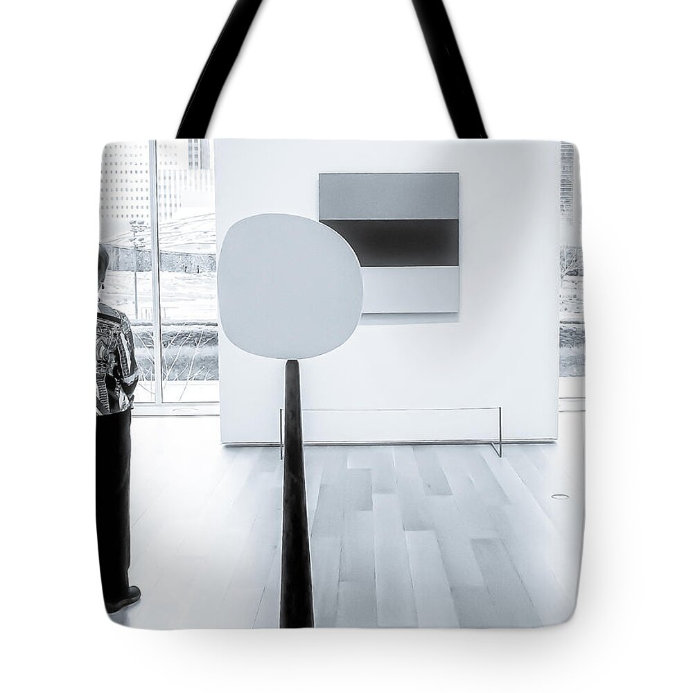 Art Tote Bag featuring the photograph Chicago MCA 2014 by Frank Winters