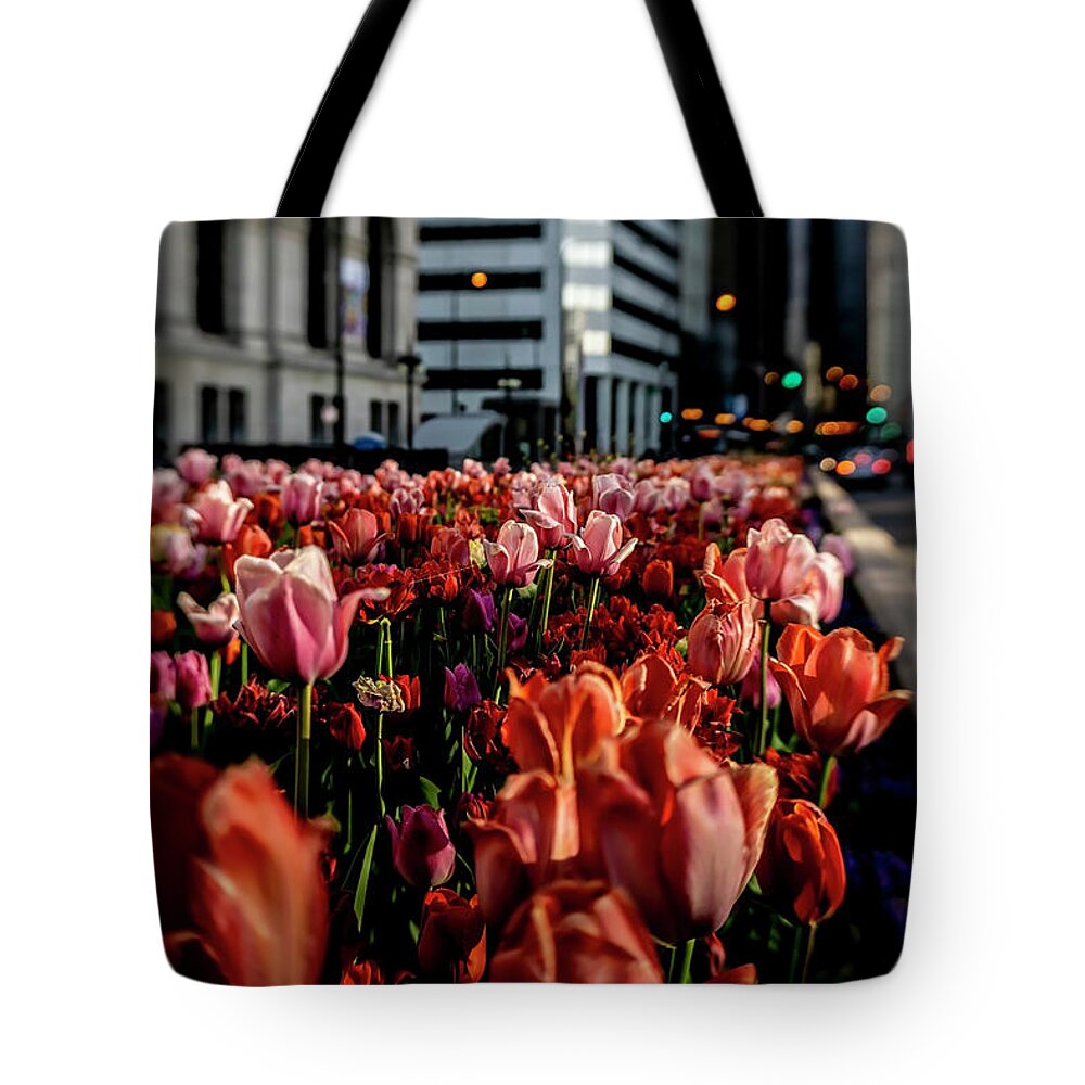 Tulips Tote Bag featuring the photograph Chicago Tulips in morning sun by Sven Brogren