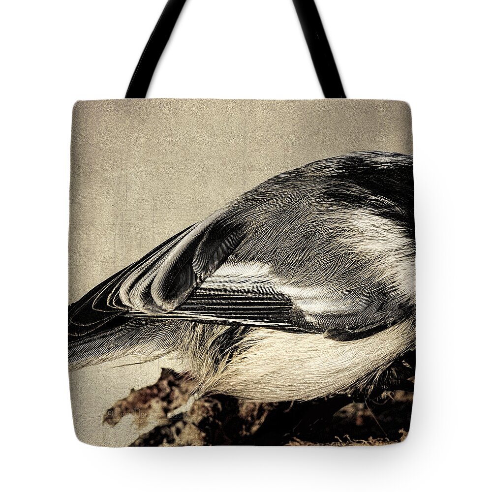 Bird Tote Bag featuring the photograph Chickadee Feathers by Fred Denner