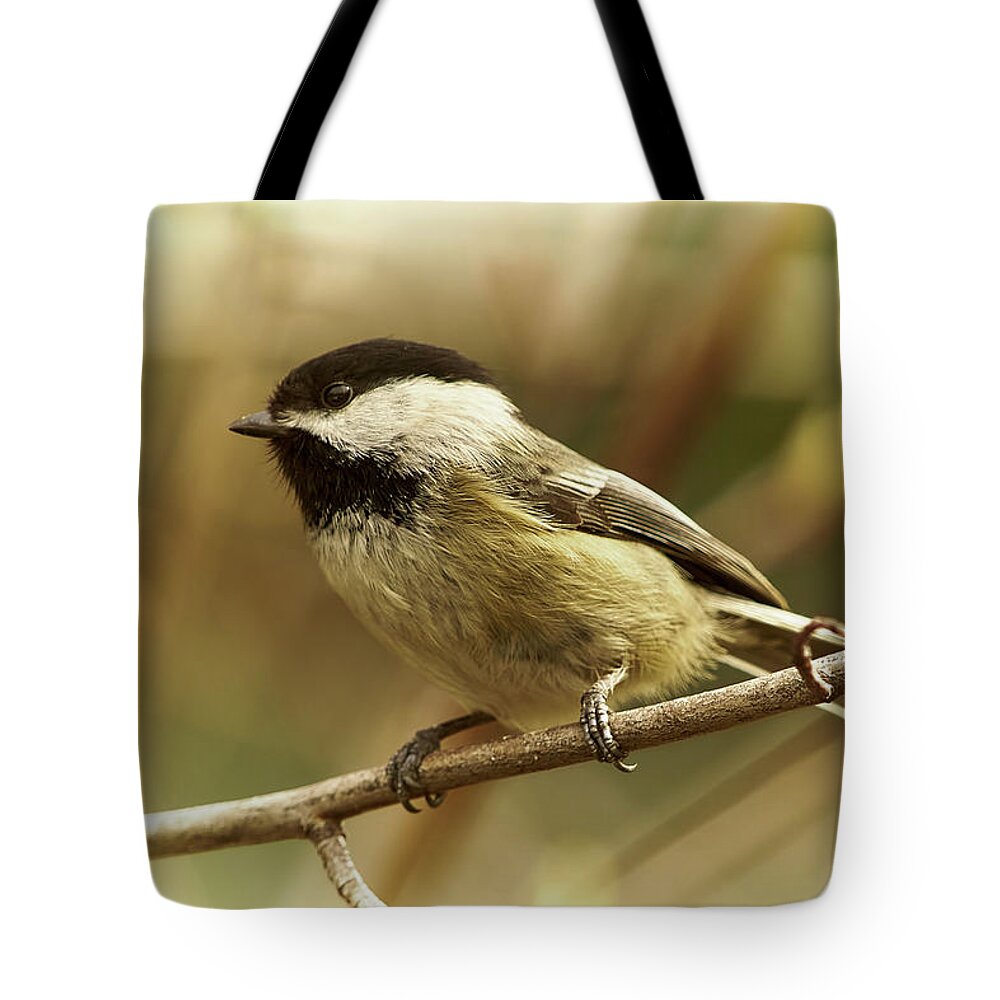 Bird Tote Bag featuring the photograph Chickadee by Loni Collins