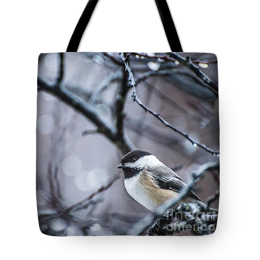 Black-capped Chickadee Tote Bag featuring the photograph Chickadee Rain by Joann Long