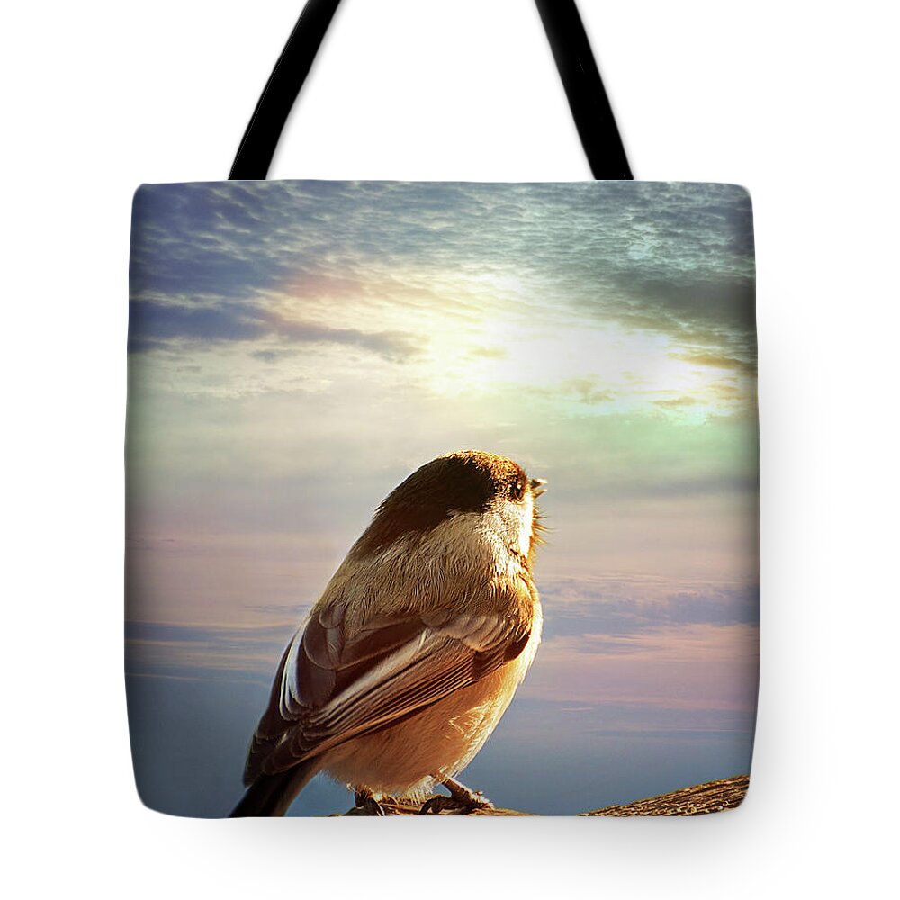 Chickadee Print Tote Bag featuring the photograph Chickadee Sunrise by Gwen Gibson