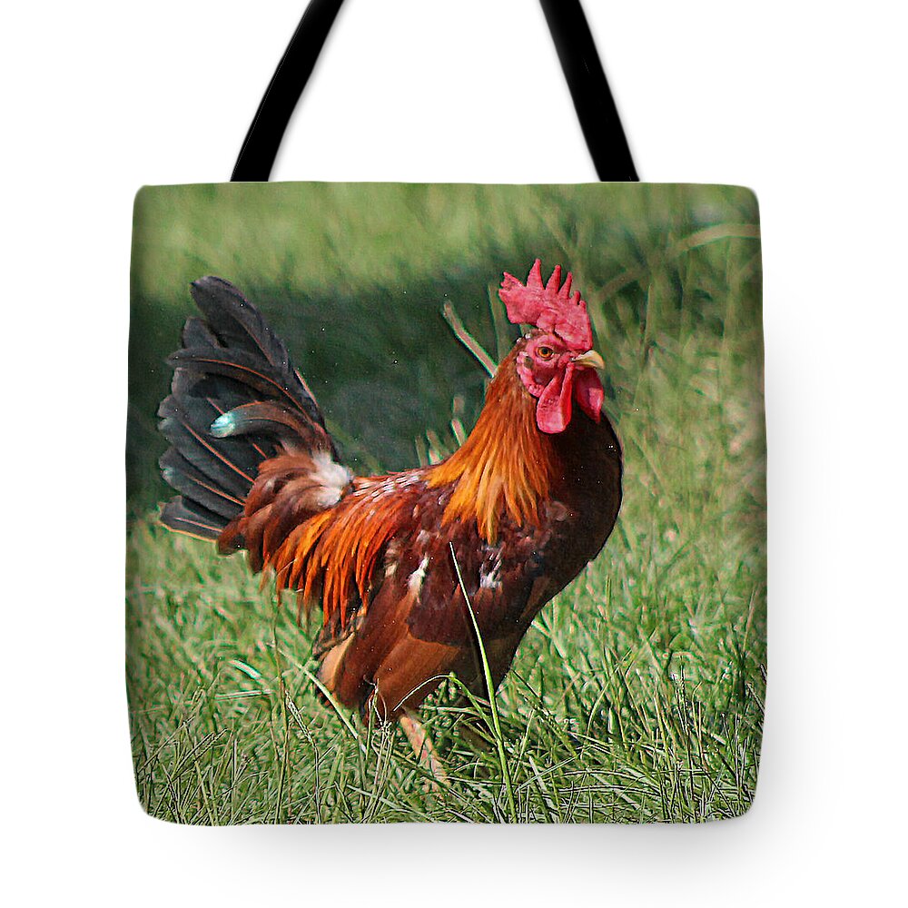 Animals Tote Bag featuring the photograph Chickens Beware - The Boss Is Here by DB Hayes
