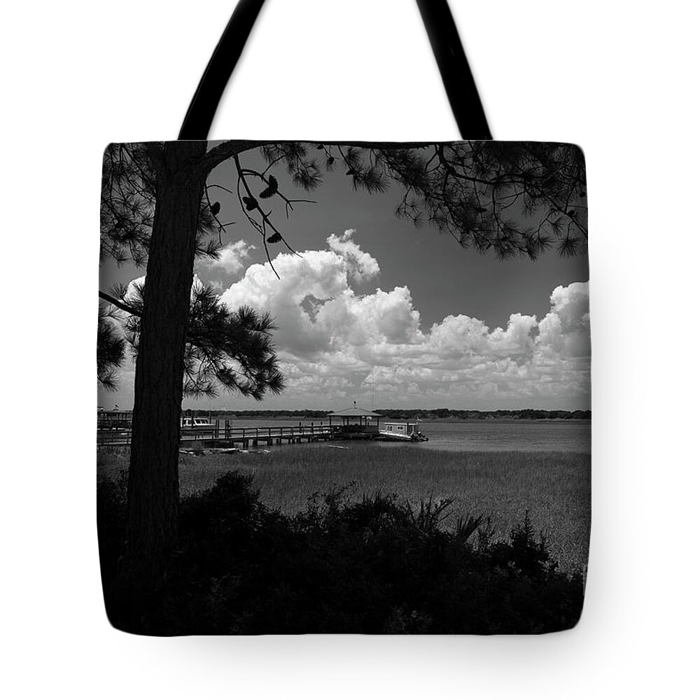 Sullivan's Island Tote Bag featuring the photograph Childhood Memories on the Water by Dale Powell