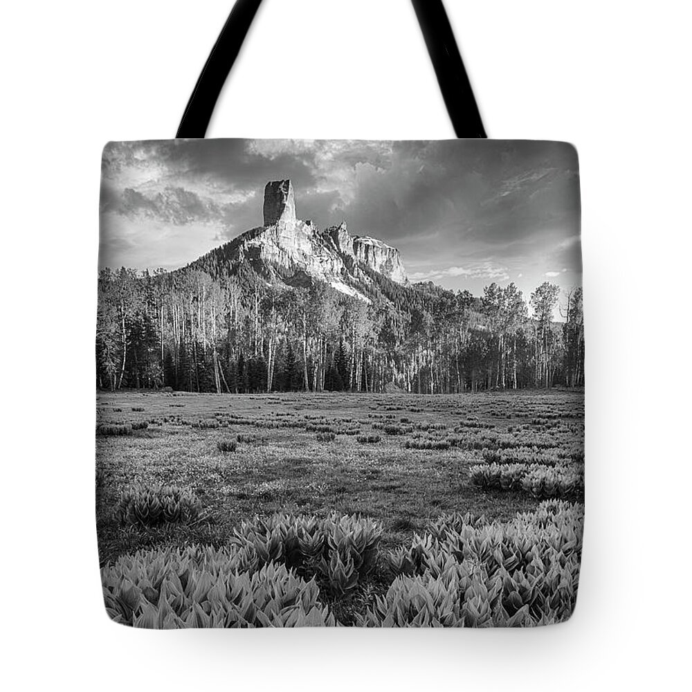 Chimney Rock Tote Bag featuring the photograph Chimney Rock in Black and White by Denise Bush