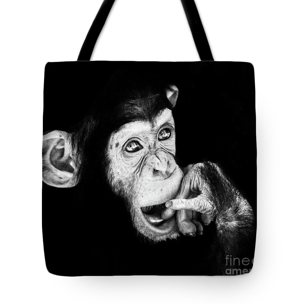 Monkey Tote Bag featuring the photograph Chimpanzee baby by Ruth Jolly