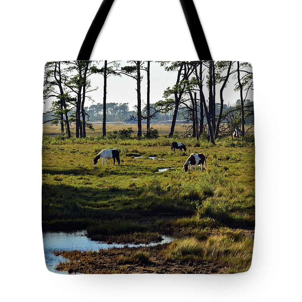 Chincoteague Tote Bag featuring the photograph Chincoteague Ponies by Nicole Lloyd