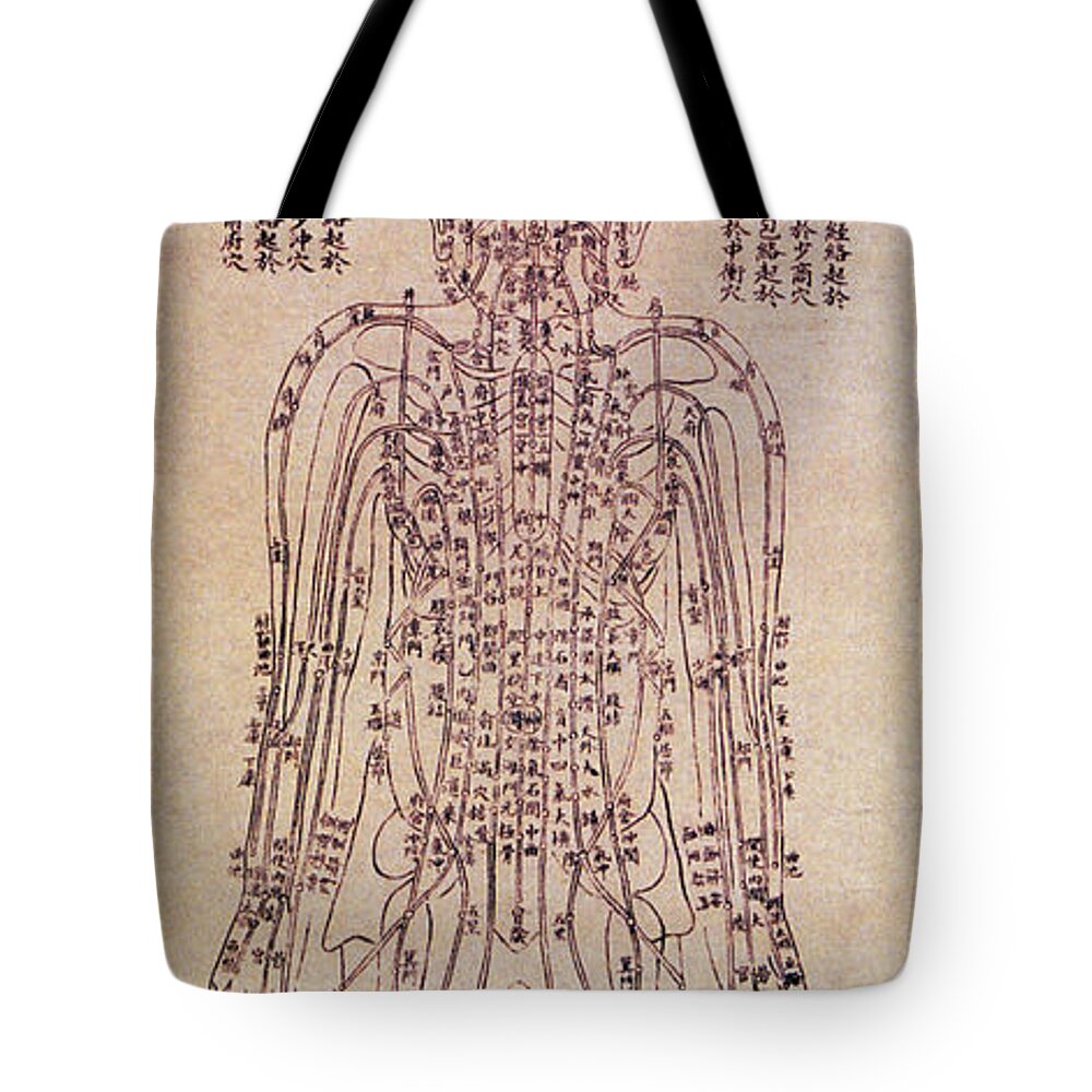 1900s Tote Bag featuring the photograph Chinese Acupuncture Chart by Science Source