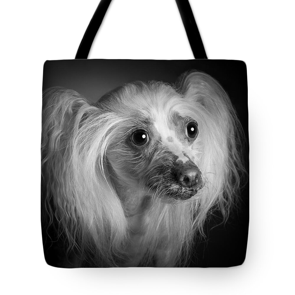 Dog Tote Bag featuring the photograph Chinese Crested - 04 by Larry Carr