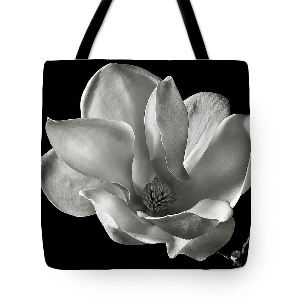 Flower Tote Bag featuring the photograph Chinese Magnolia by Endre Balogh