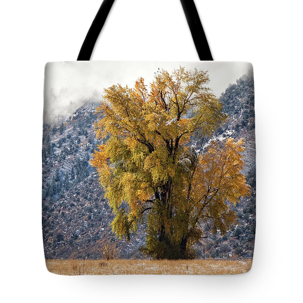 Autumn Tote Bag featuring the photograph Chipeta and Cottonwood by Denise Bush