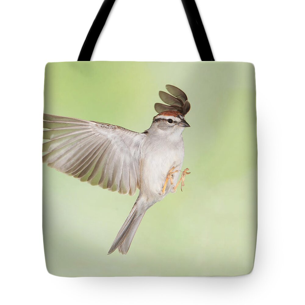 Nature Tote Bag featuring the photograph Chipper by Gerry Sibell