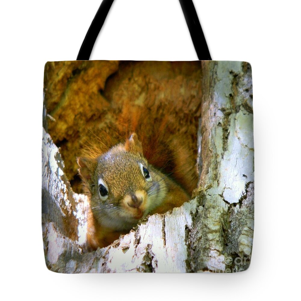Chipmunk Tote Bag featuring the photograph Chippy by Elfriede Fulda