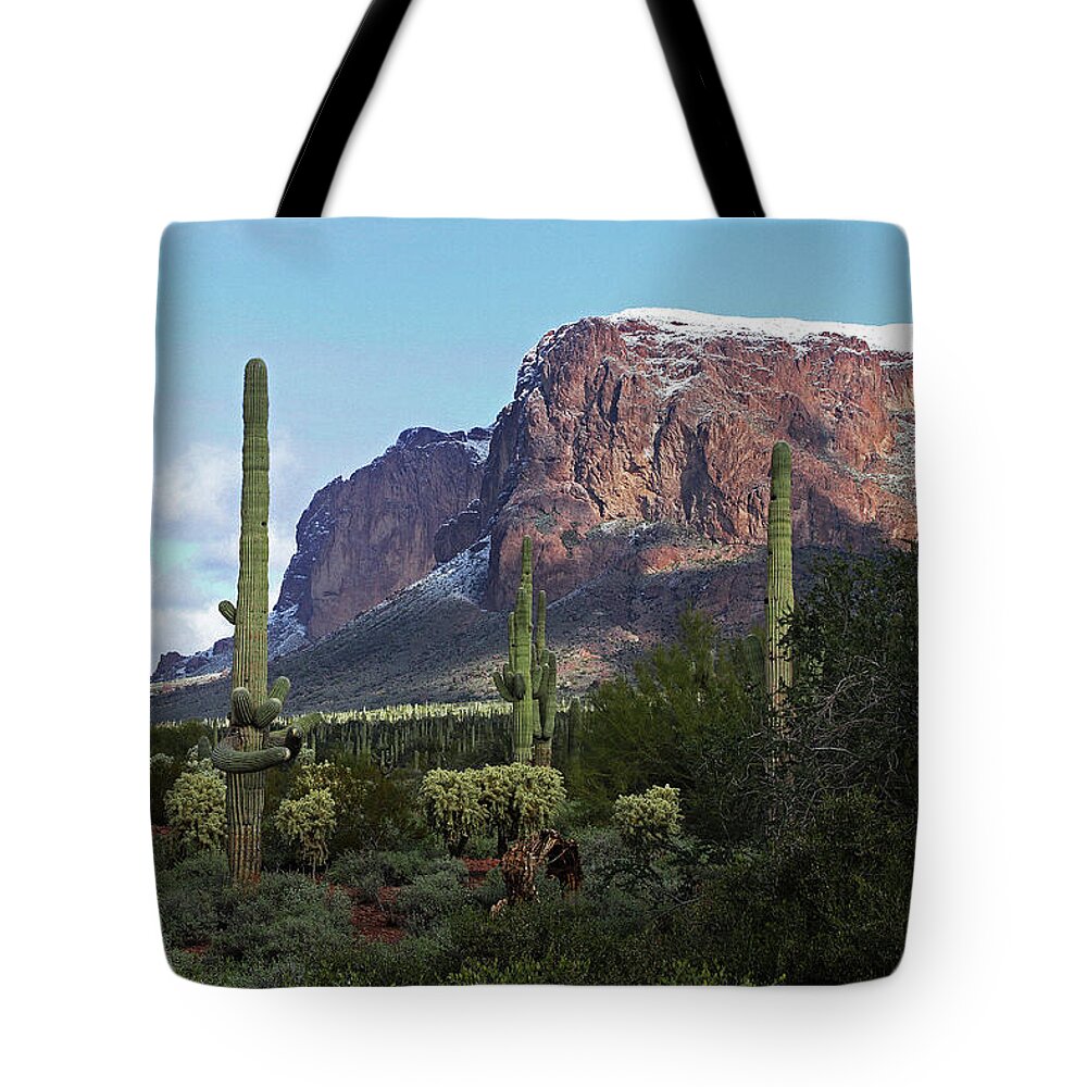 Cholla Saguaro Superstition Mountain Tote Bag featuring the photograph Cholla Saguaro Superstition Mountain by Tom Janca