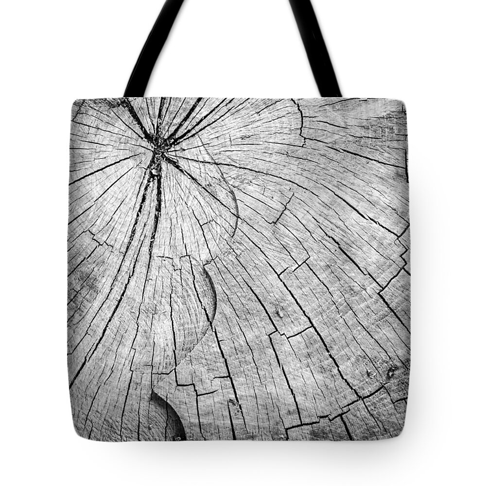 Aging Tote Bag featuring the photograph Chopped Wooden Tree Trunk by John Williams