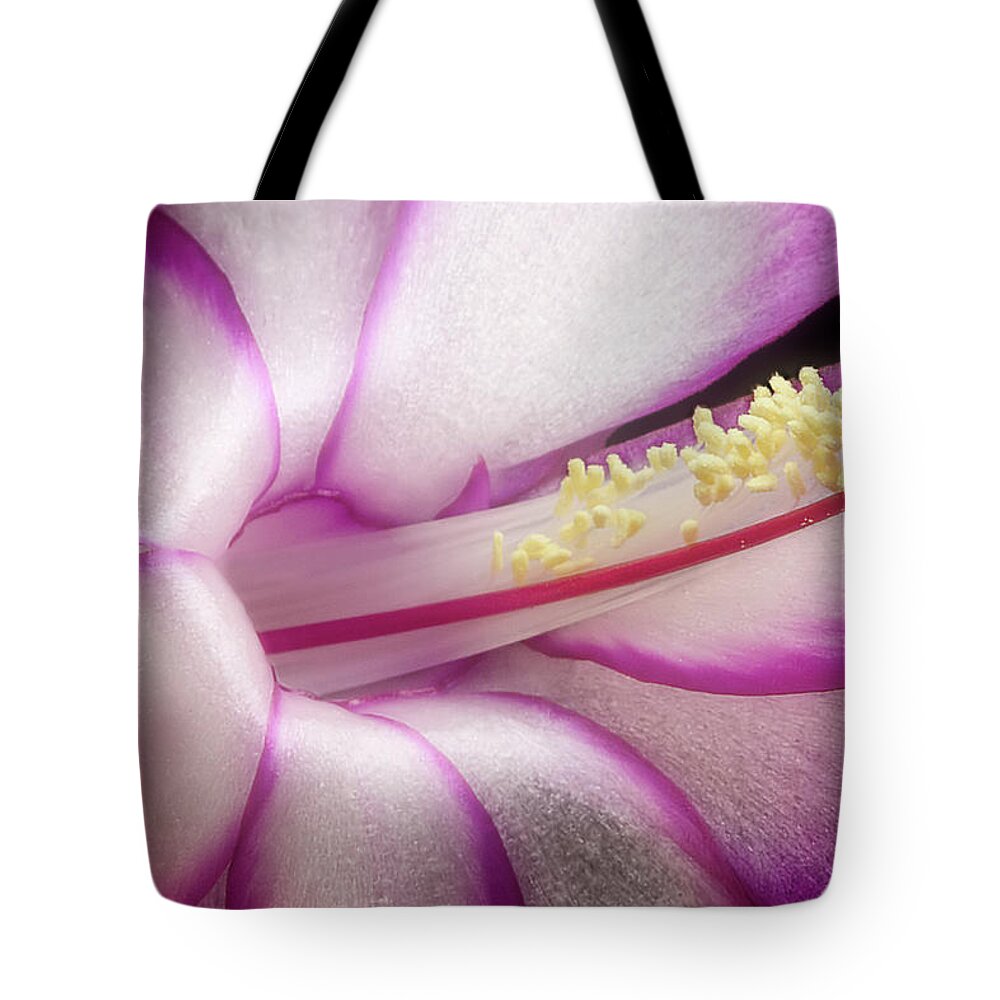 Thanksgiving Cactus Tote Bags