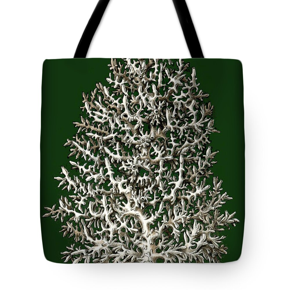 Calcispongiae Leucosolenia Complicata Tote Bag featuring the photograph Christmas Coral Tree Earnst Hackel by Suzanne Powers