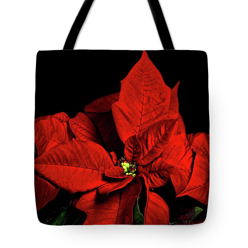 Pointsettia Tote Bag featuring the photograph Christmas Fire by Christopher Holmes